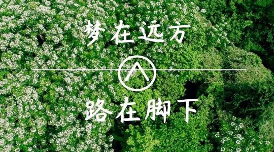 上?？婆d儀器